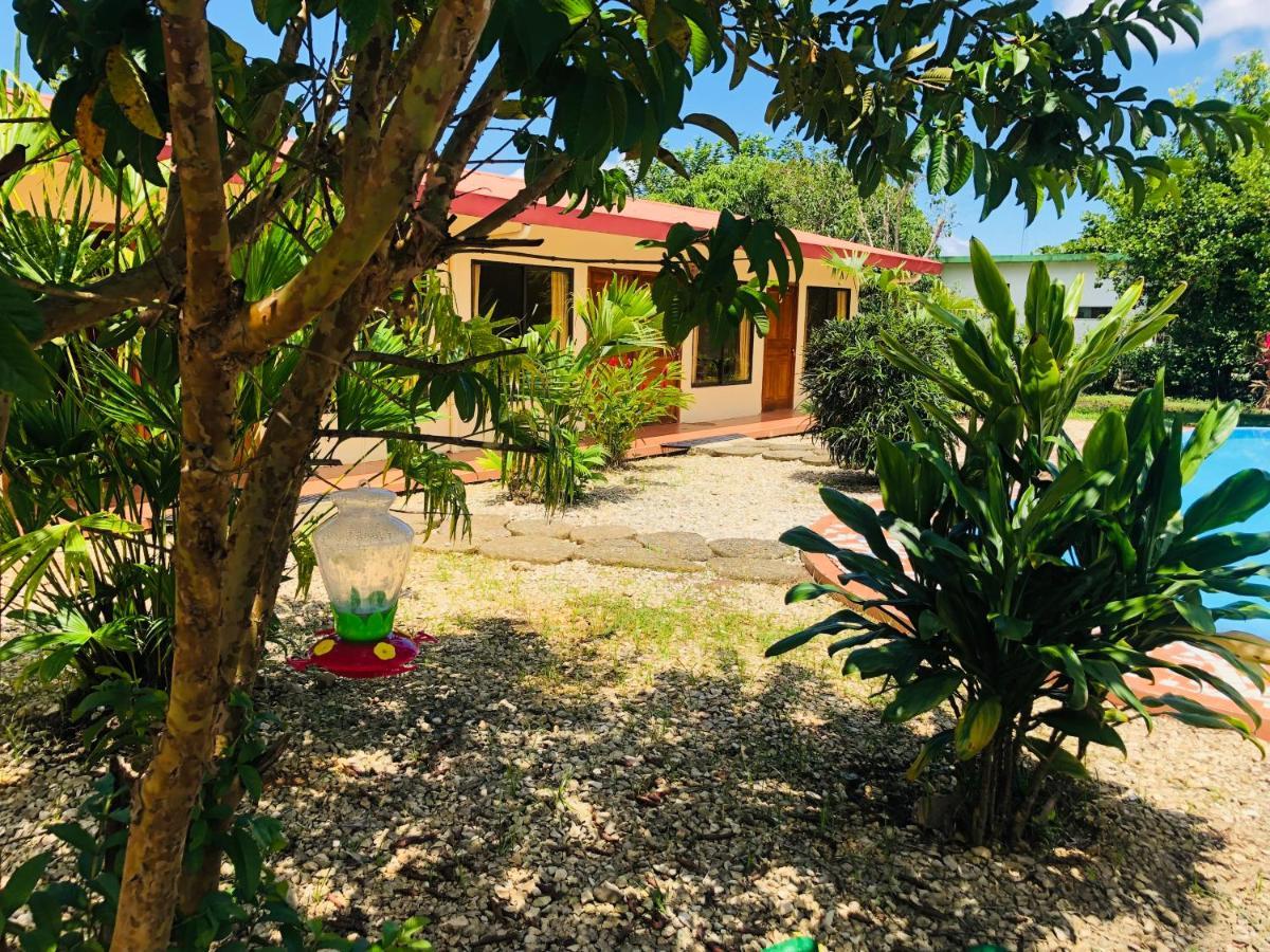 Hotel Cocodrilo Sierpe Luaran gambar
