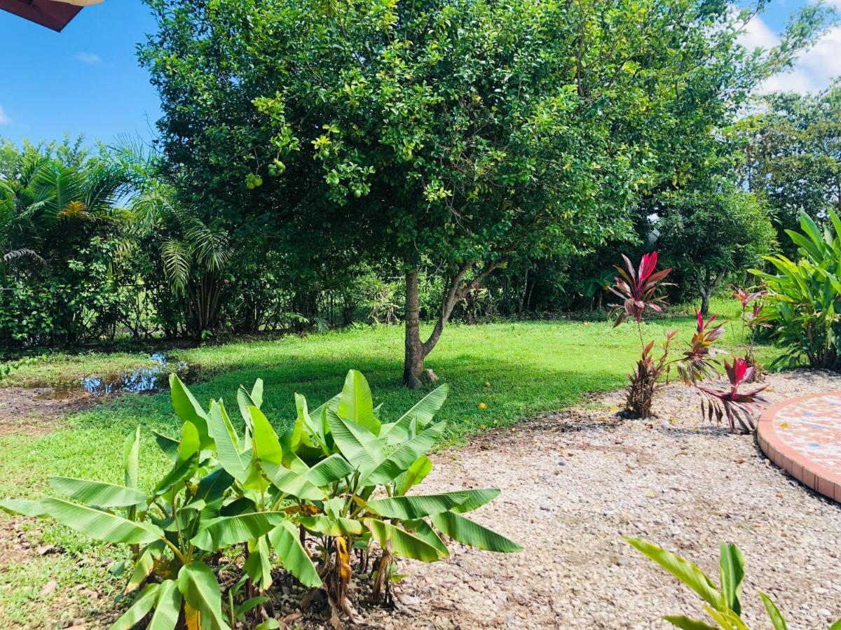 Hotel Cocodrilo Sierpe Luaran gambar