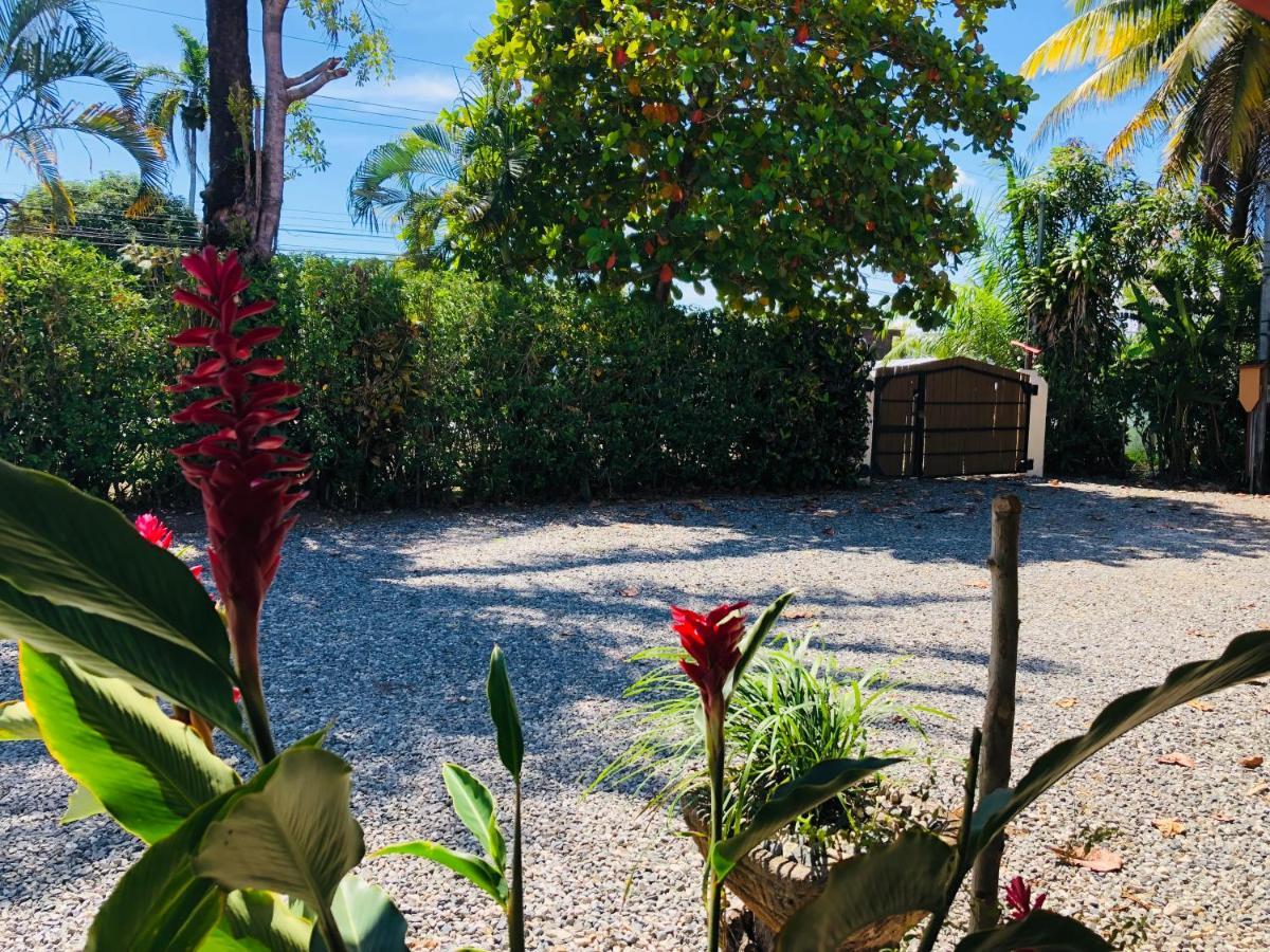 Hotel Cocodrilo Sierpe Luaran gambar