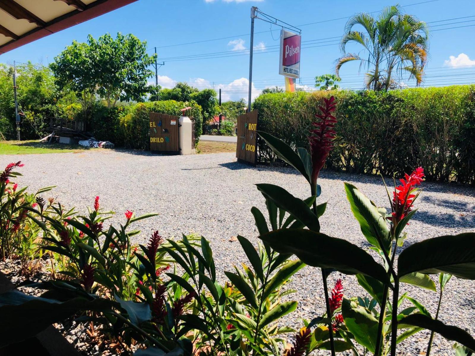 Hotel Cocodrilo Sierpe Luaran gambar